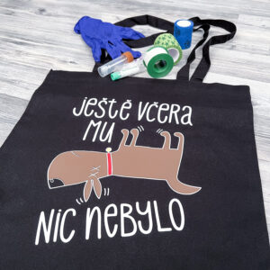 Taška "Ještě včera"
